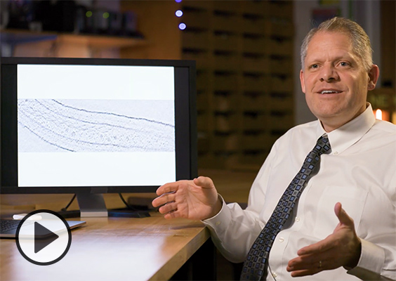 Dean Grant Jensen shows on his computer screen an image of DNA captured using cryoelectron microscopy.