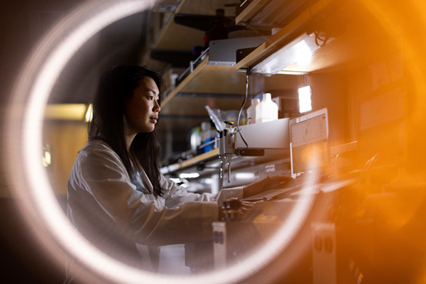 Ph.D. student Erin Saito enters data into a computer in the lab of Professor Benjamin Bikman. Photo by Jaren Wilkey.