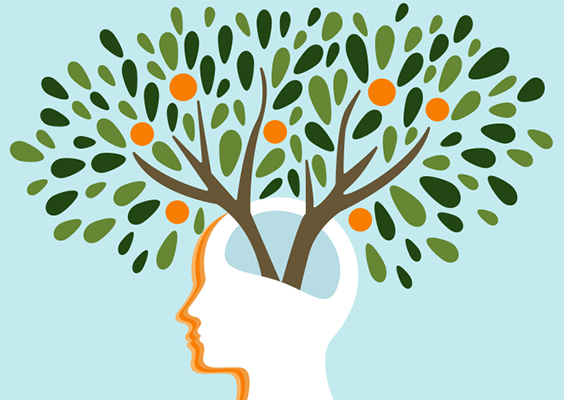 Illustration of a tree with leaves and fruit growing up from a human head and mind. Photo by Chalet Moleni.