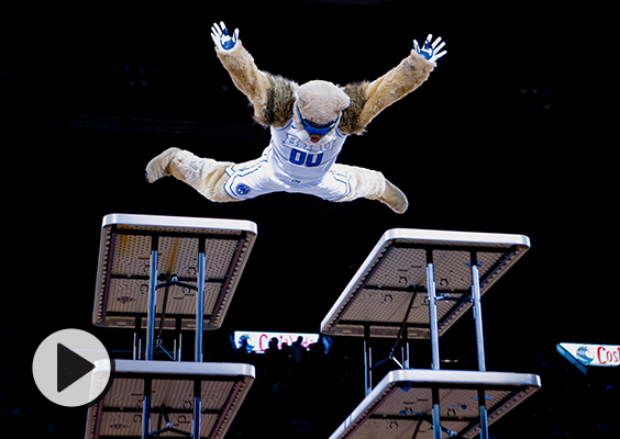 Cosmo is captured spread-eagled in the air above stacked folding tables in the Marriott Center.