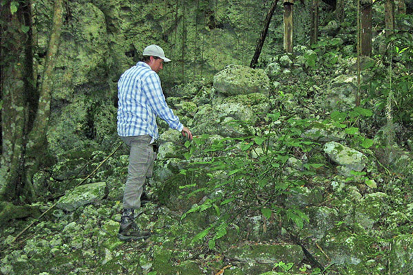 Researcher Chris Balzotti climbs an ancient staircase discovered in a sinkhole near Coba, Mexico. Photo by Richard Terry.