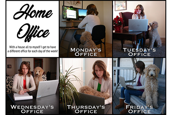 Sarah Wald shows off her home offices, different locations in her house that she uses, with her dog, each weekday.