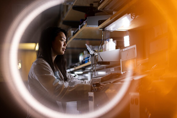 PhD student Erin Saito enters data into a computer in the lab of Professor Benjamin Bikman.