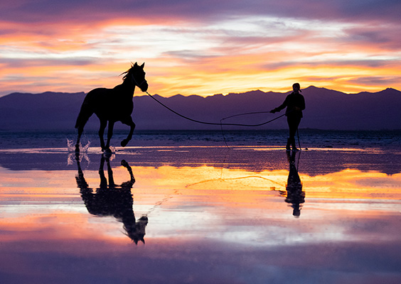 Student and associate (a horse) silhouetted against a stunning sunset.