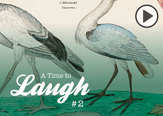 An illustration of bird bodies and feet with the text A Time to Laugh 2.