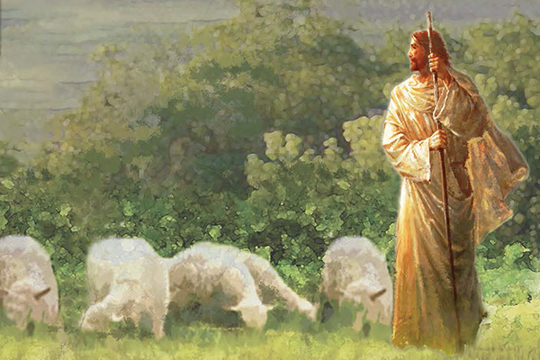 This painting of Christ gathering and guiding sheep complements the theme of the 2022 BYU Easter Conference, which is The Power of Christ's Deliverance.