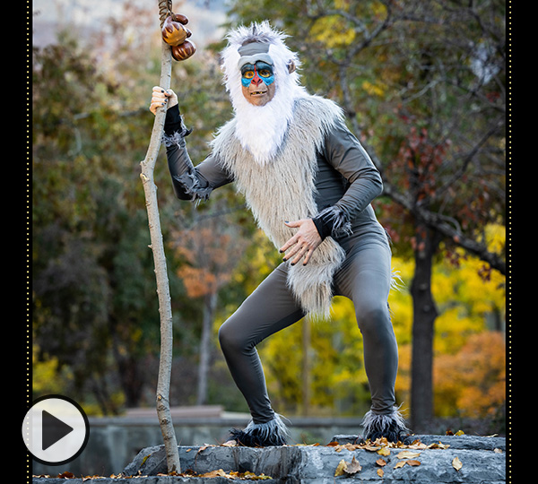 Tom Holmoe is transformed into Rafiki from the Lion King. Here he holds a staff as he perches on a rocky outcrop.