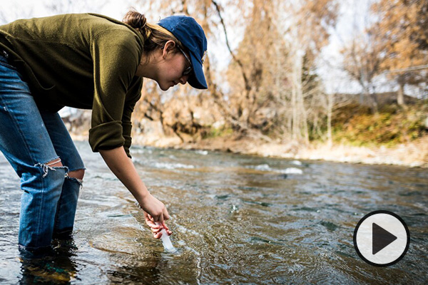 A BYU student takes a water sample from a river in Spanish Fork Canyon. Photo by BYU Photo.
