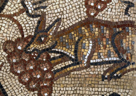Image of a fox eating grapes in a Huqoq synagogue mosaic. Photo by Jim Haberman.