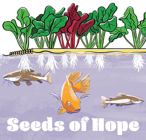 An illustration of an aquaponics system. Plants are growing on top of the water and fish are swimming underneath. The words Seeds of Hope appear below.